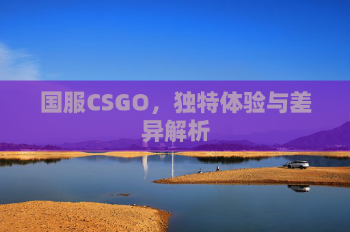 国服CSGO，独特体验与差异解析