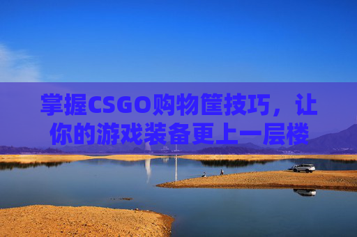 掌握CSGO购物筐技巧，让你的游戏装备更上一层楼