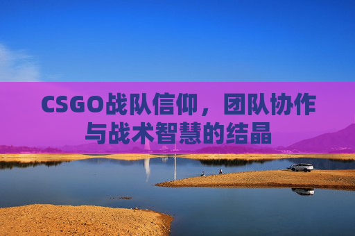 CSGO战队信仰，团队协作与战术智慧的结晶