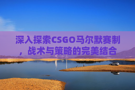 深入探索CSGO马尔默赛制，战术与策略的完美结合