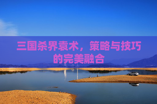 三国杀界袁术，策略与技巧的完美融合