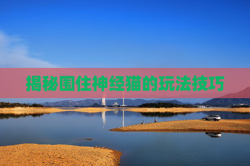 揭秘围住神经猫的玩法技巧 揭秘围住神经猫的玩法技巧