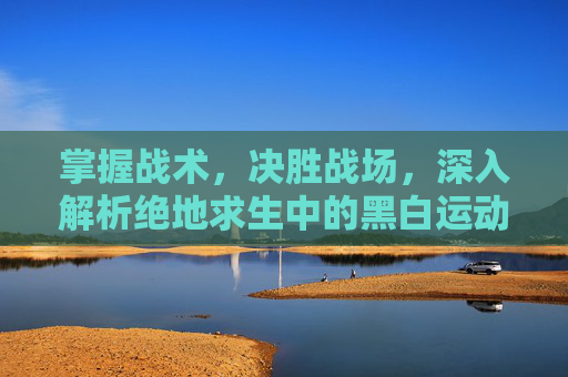 掌握战术，决胜战场，深入解析绝地求生中的黑白运动夹克PUBG
