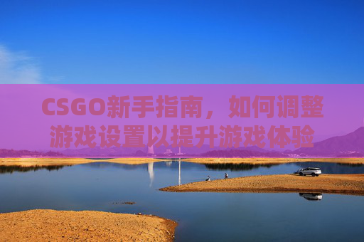 CSGO新手指南，如何调整游戏设置以提升游戏体验