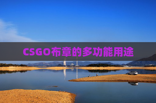 CSGO布章的多功能用途