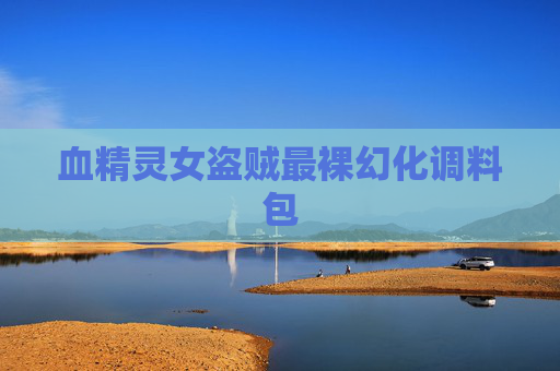 血精灵女盗贼最裸幻化调料包