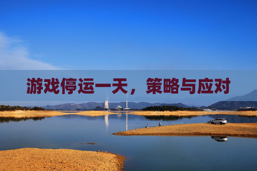 游戏停运一天，策略与应对