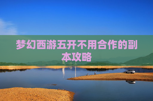 梦幻西游五开不用合作的副本攻略