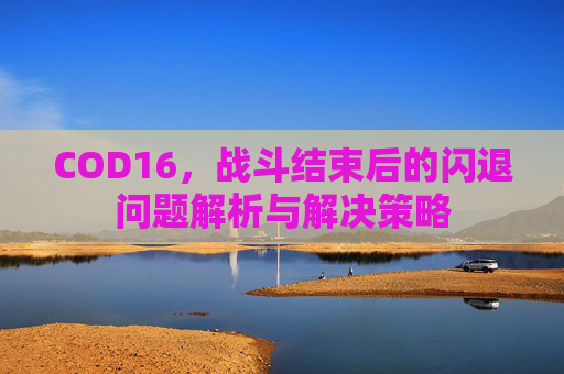 COD16，战斗结束后的闪退问题解析与解决策略