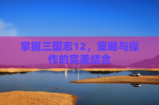 掌握三国志12,策略与操作的完美结合 掌握三国志12,策略与操作的完美结合