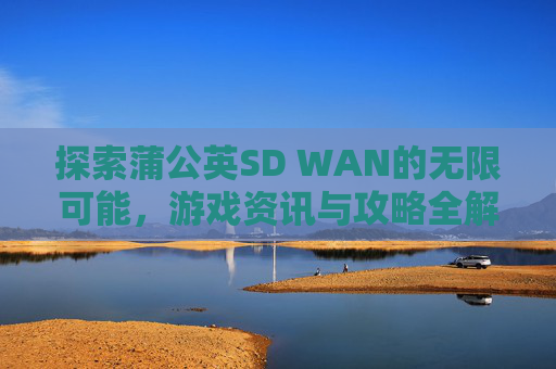 探索蒲公英SD WAN的无限可能,游戏资讯与攻略全解析 探索蒲公英SD WAN的无限可能,游戏资讯与攻略全解析