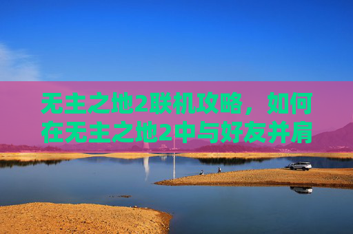 无主之地2联机攻略，如何在无主之地2中与好友并肩作战