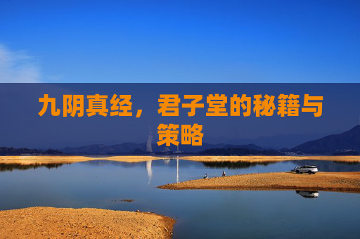 九阴真经，君子堂的秘籍与策略