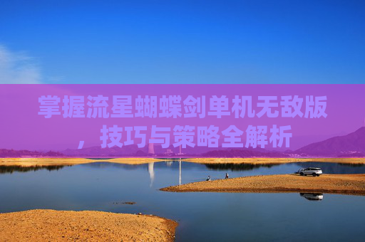 掌握流星蝴蝶剑单机无敌版，技巧与策略全解析
