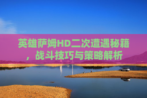 英雄萨姆HD二次遭遇秘籍，战斗技巧与策略解析