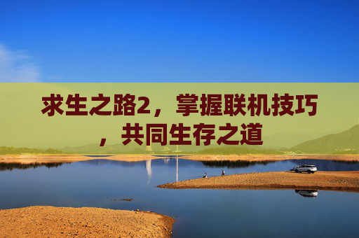 求生之路2，掌握联机技巧，共同生存之道