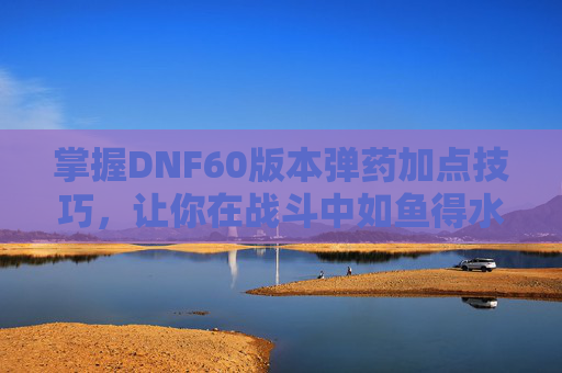 掌握DNF60版本弹药加点技巧，让你在战斗中如鱼得水