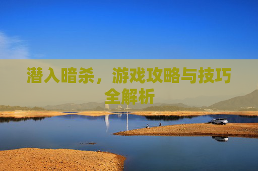 潜入暗杀，游戏攻略与技巧全解析