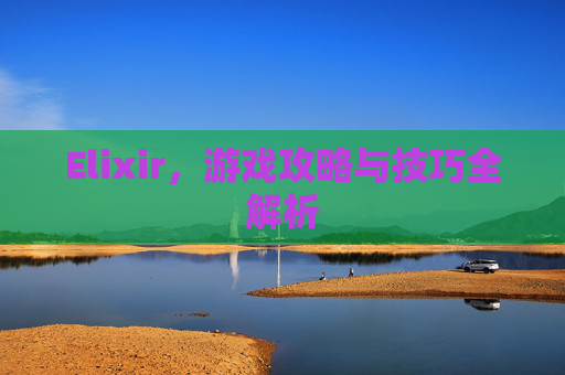 Elixir，游戏攻略与技巧全解析
