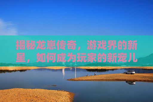 揭秘龙崽传奇，游戏界的新星，如何成为玩家的新宠儿？