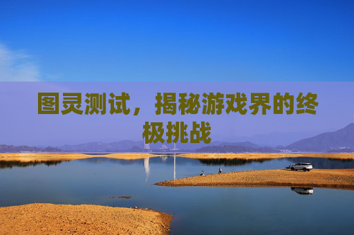 图灵测试，揭秘游戏界的终极挑战