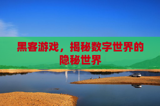 黑客游戏，揭秘数字世界的隐秘世界