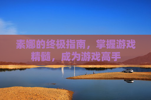 素娜的终极指南，掌握游戏精髓，成为游戏高手