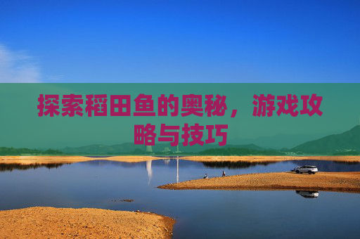 探索稻田鱼的奥秘，游戏攻略与技巧