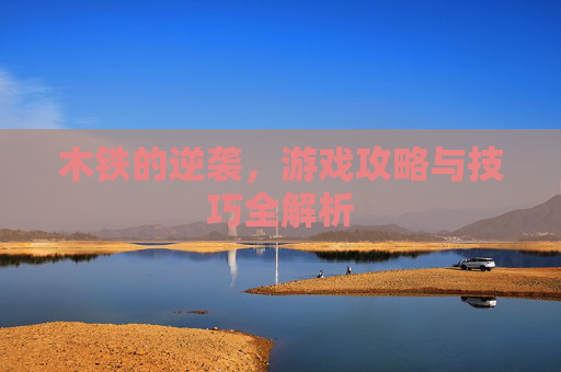 木铁的逆袭，游戏攻略与技巧全解析