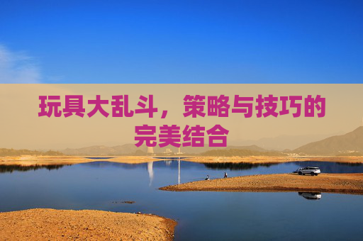 玩具大乱斗，策略与技巧的完美结合