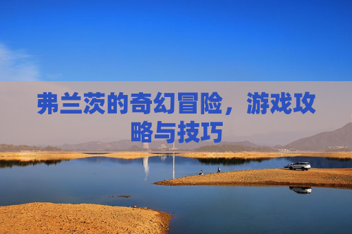 弗兰茨的奇幻冒险，游戏攻略与技巧
