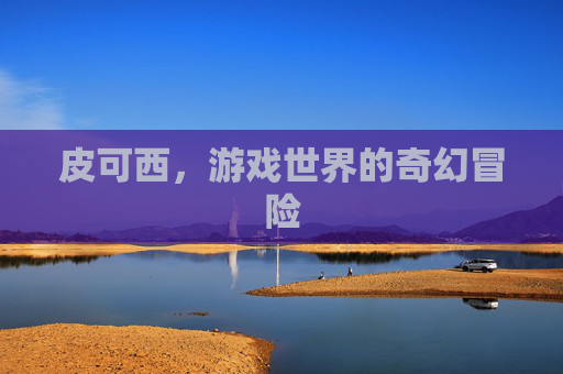 皮可西，游戏世界的奇幻冒险