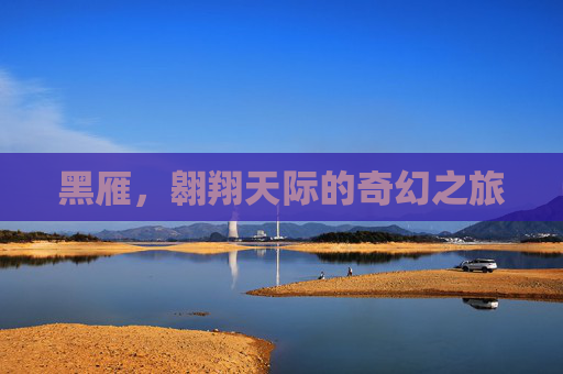 黑雁，翱翔天际的奇幻之旅