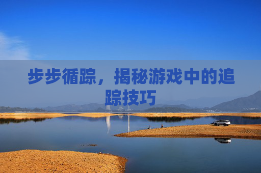 步步循踪，揭秘游戏中的追踪技巧
