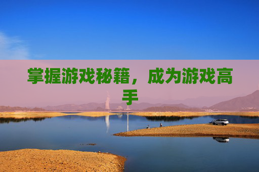 掌握游戏秘籍，成为游戏高手