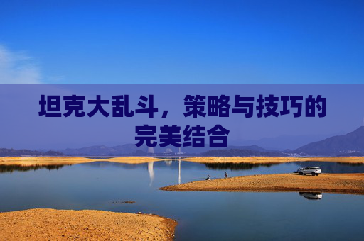 坦克大乱斗，策略与技巧的完美结合