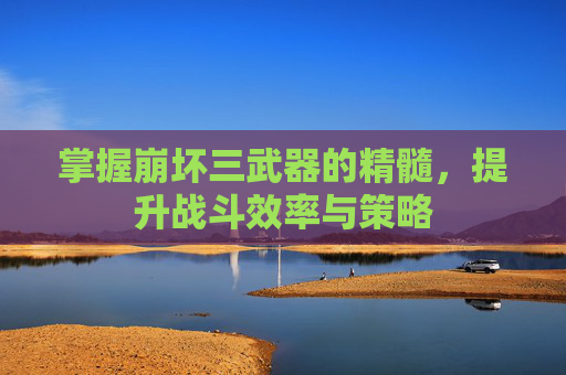 掌握崩坏三武器的精髓，提升战斗效率与策略