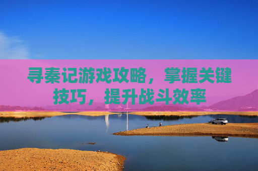 寻秦记游戏攻略，掌握关键技巧，提升战斗效率