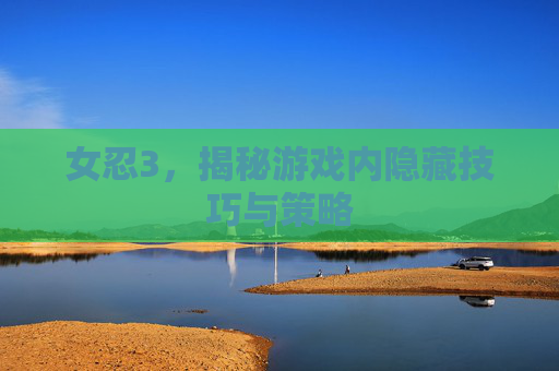 女忍3，揭秘游戏内隐藏技巧与策略