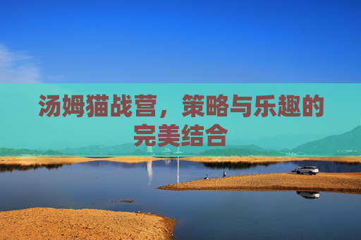 汤姆猫战营，策略与乐趣的完美结合