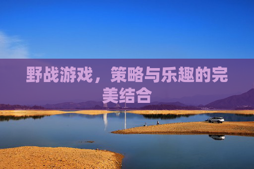 野战游戏，策略与乐趣的完美结合