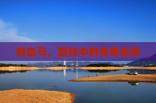 纯血马，游戏中的传奇坐骑
