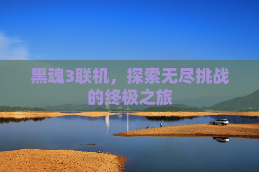 黑魂3联机，探索无尽挑战的终极之旅