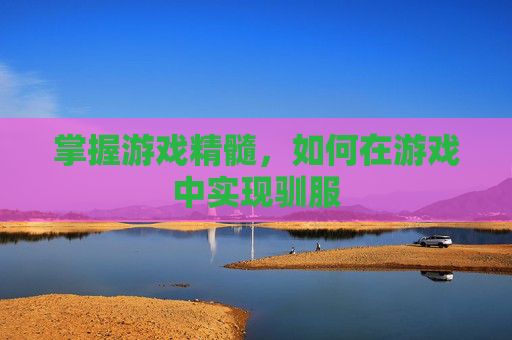 掌握游戏精髓，如何在游戏中实现驯服