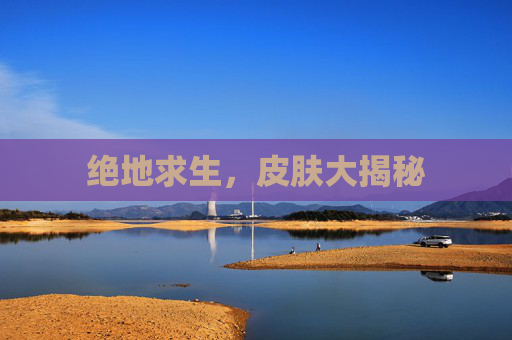 绝地求生，皮肤大揭秘