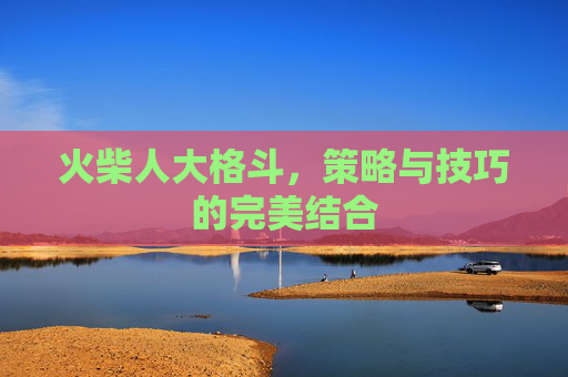 火柴人大格斗，策略与技巧的完美结合