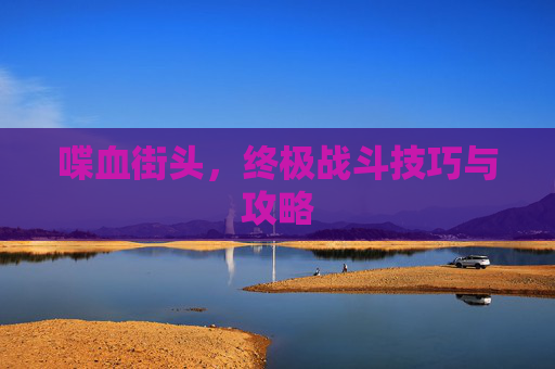 喋血街头，终极战斗技巧与攻略