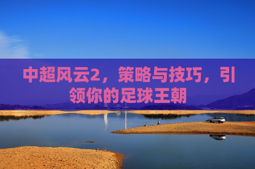 中超风云2，策略与技巧，引领你的足球王朝