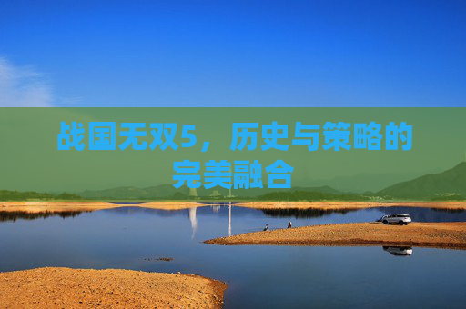 战国无双5，历史与策略的完美融合