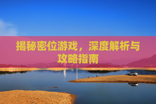 揭秘密位游戏，深度解析与攻略指南